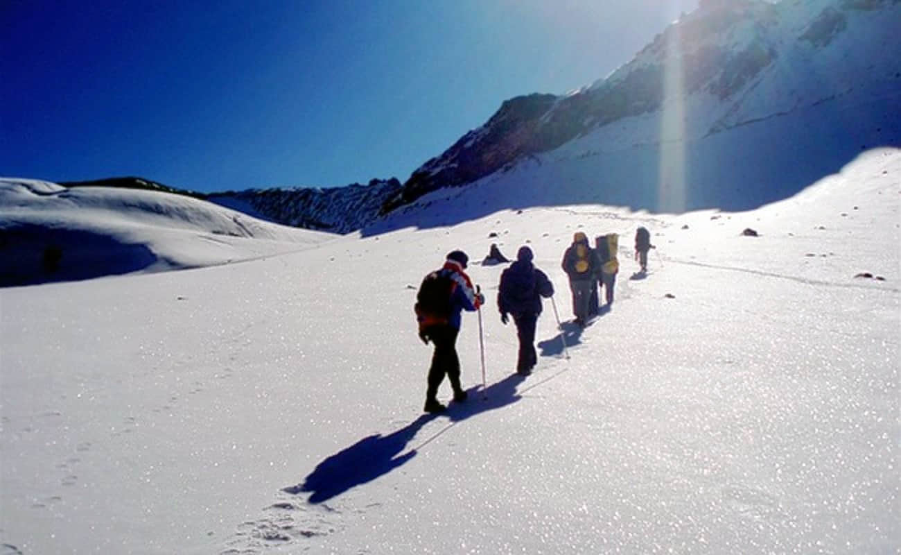 Auli Gorson Trek, <em>Auli</em>