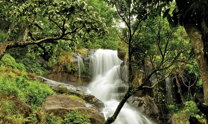 Chethalayam Falls 
