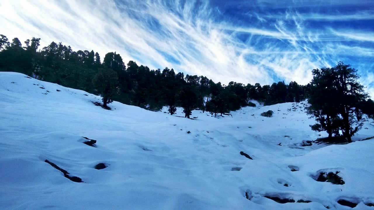 Photo from Vedanga Sethi's trip
