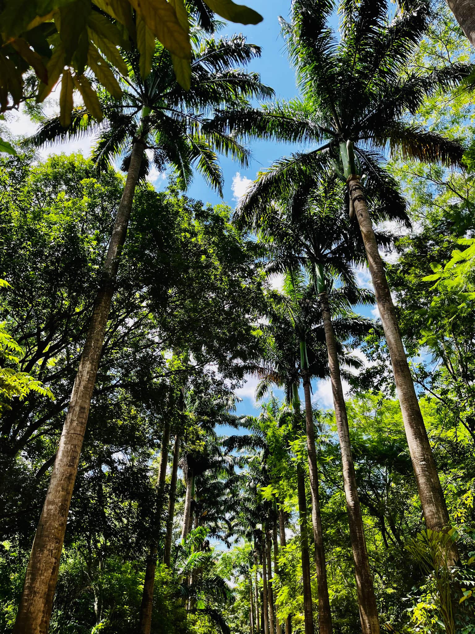 Photo from Sukesh Seth's trip