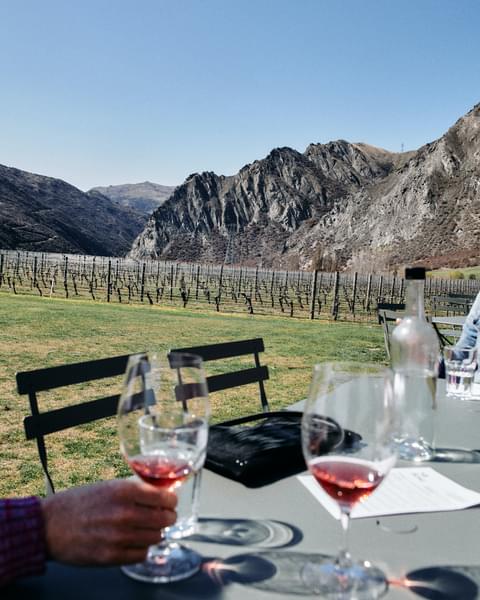 Otago Winery Tour with Gourmet Wine & Food-Paired Lunch