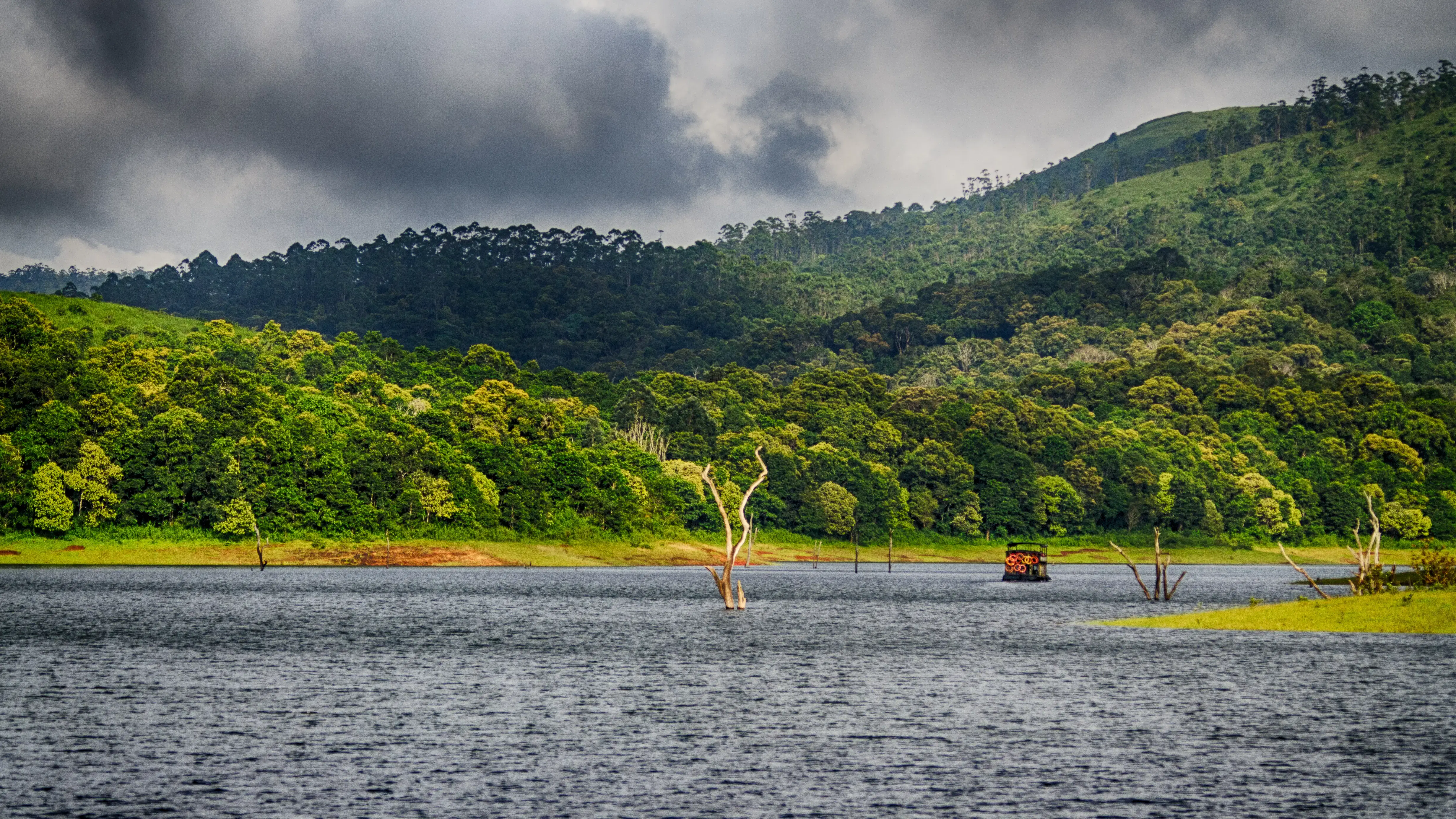 Periyar National Park, Thekkady