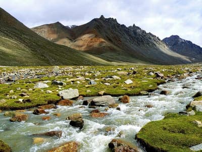 Valley of Flowers Trek Day 2