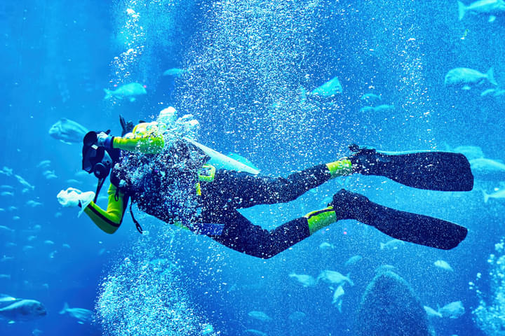 Scuba Diving spots in Dubai