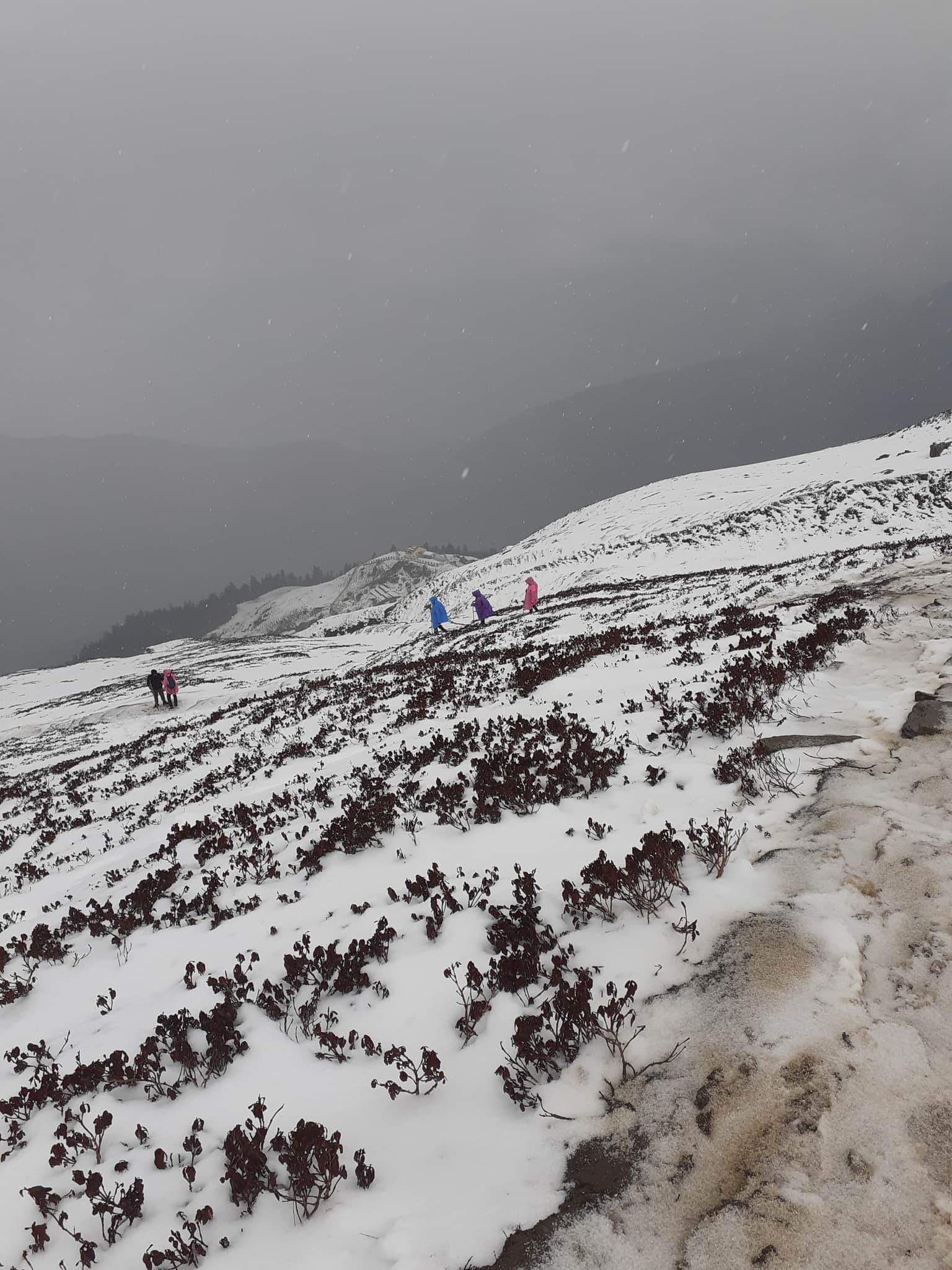 Photo from  Sunita Bhan Bhan's trip