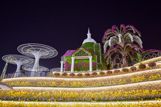 Miracle Garden at Night