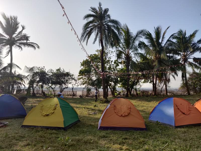 Relaxing Beachside Camping Near Mumbai Image