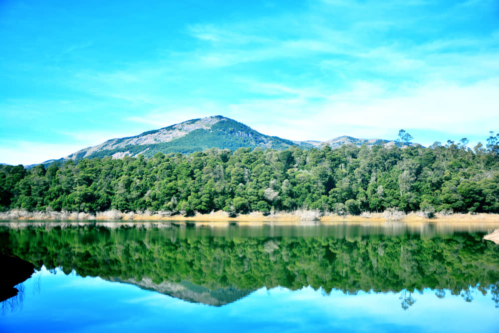 Off-beat Places to Visit in Ooty