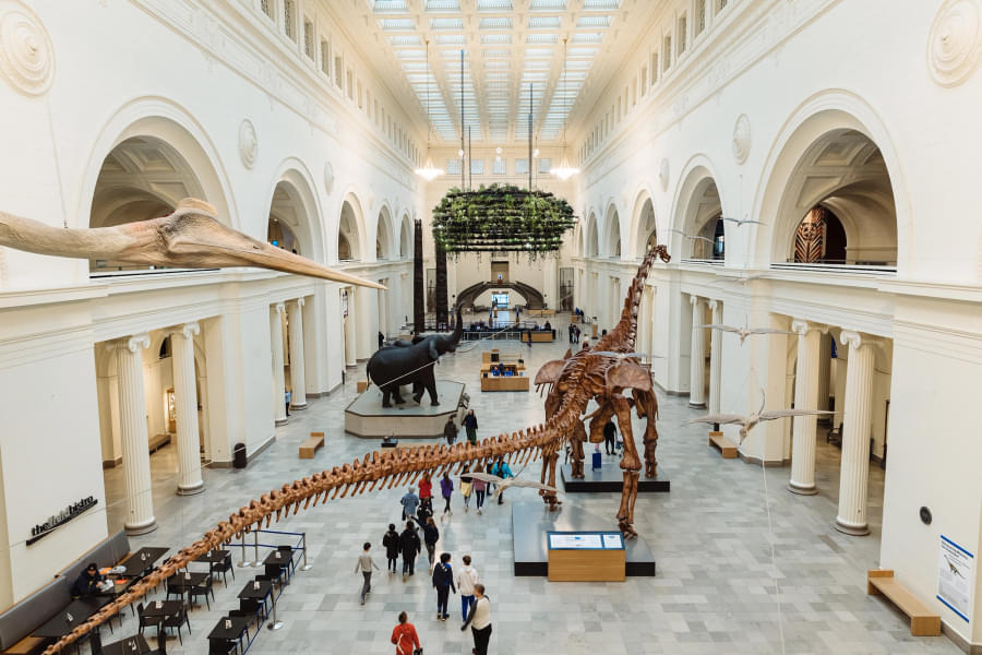 Field Museum of Natural History Ticket or VIP Tour Image