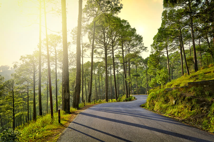 Almora Tour Package from Dehradun Image