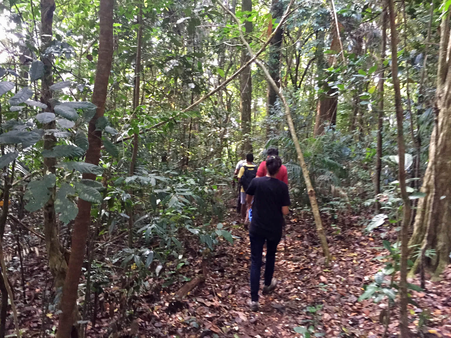 Photo from Shivakari Varman's trip