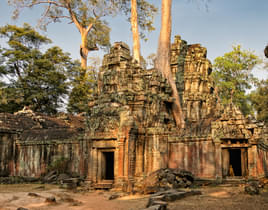 Ta Prohm Temple