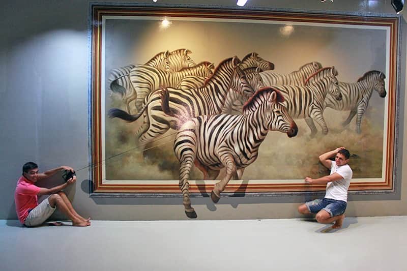 Safari