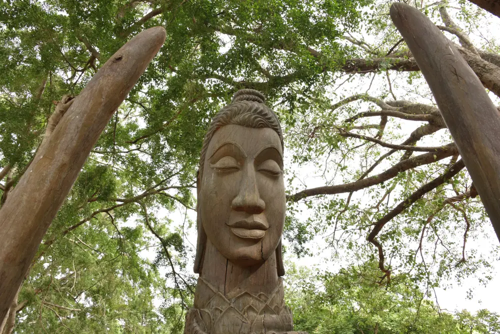Attractions at Lalbagh Botanical Garden
