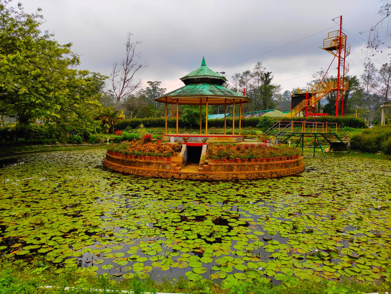 Kerala Weekend Getaway | Misty Hills & Calm Backwaters Image