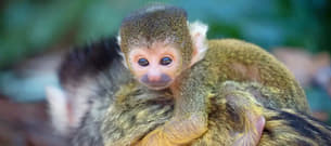 4u9h7rlv24skg61c9wewfv5muh0p 1582362387 4