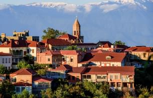 Day Trip to Kakheti Region, Georgia