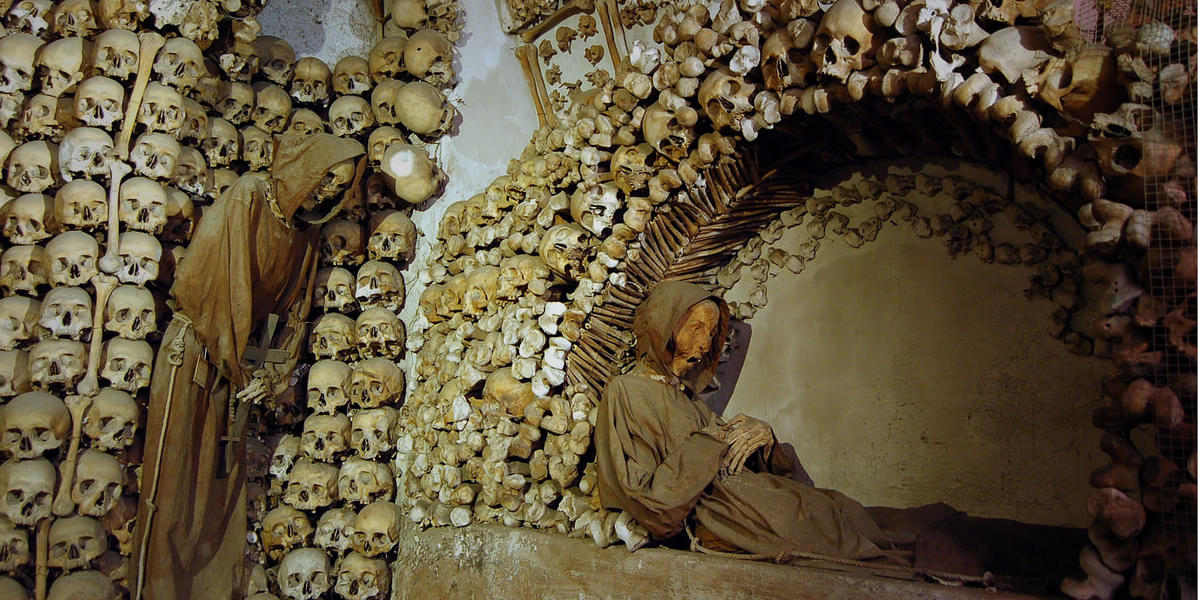 Try not to freak out looking at the skeletons of ancient Capuchins