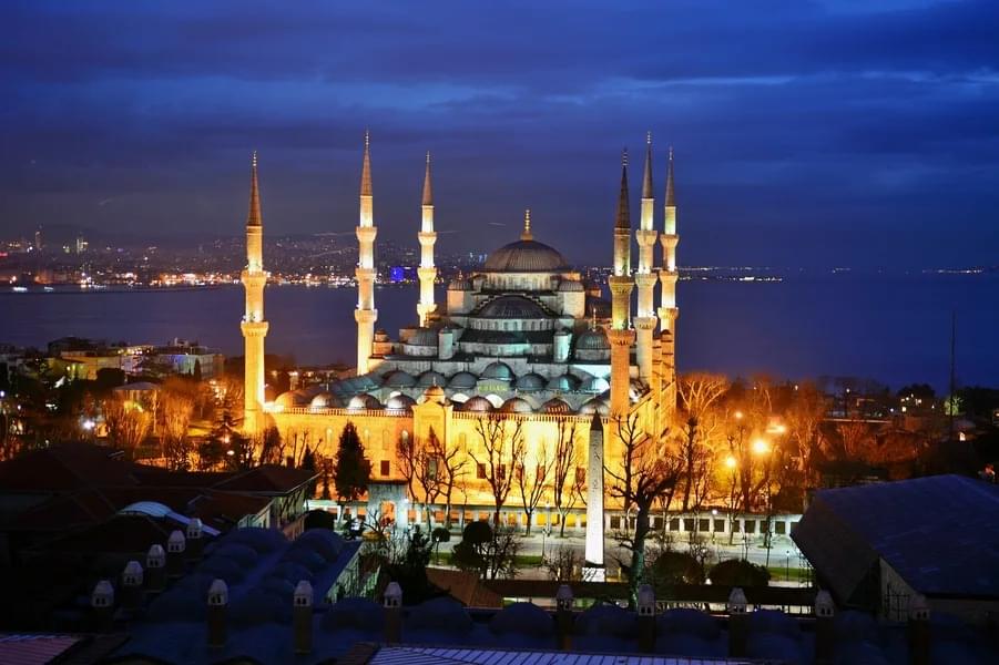 Topkapi Palace and Blue Mosque Tour