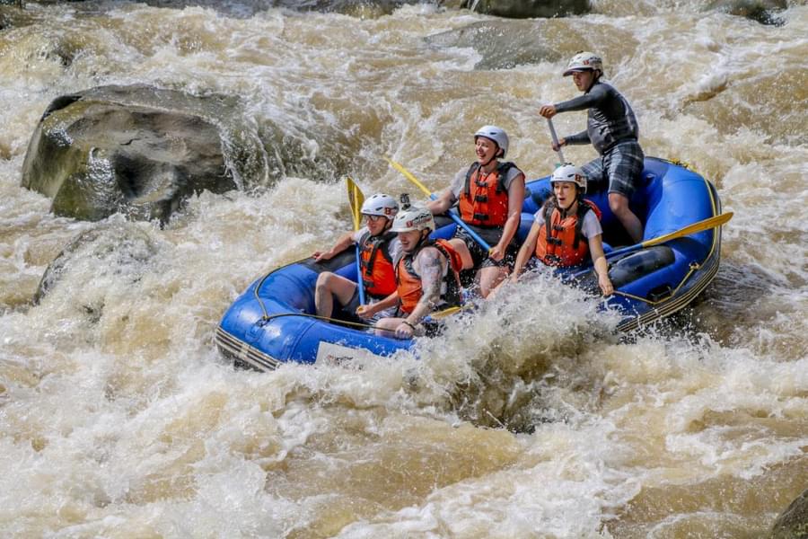 Whitewater Rafting in Chiang Mai Image
