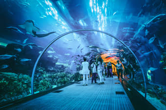 Underwater tunnel offers a 270-degree view 