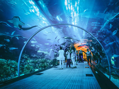 Welcome to Dubai Aquarium & Underwater Zoo