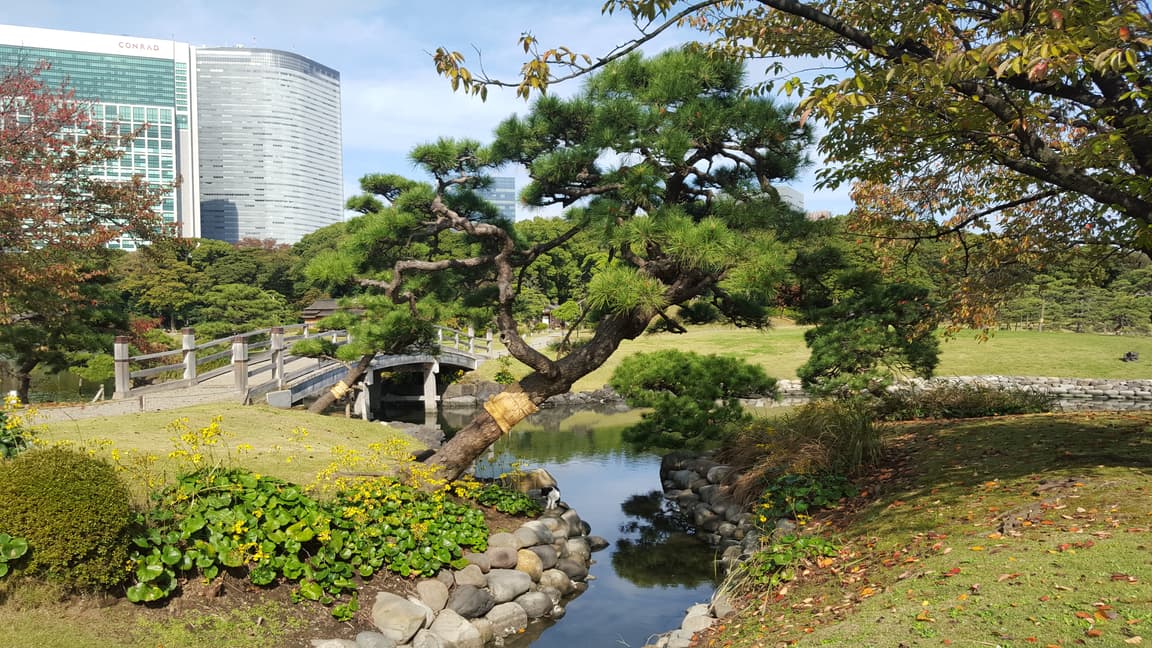 Hamarikyu Gardens