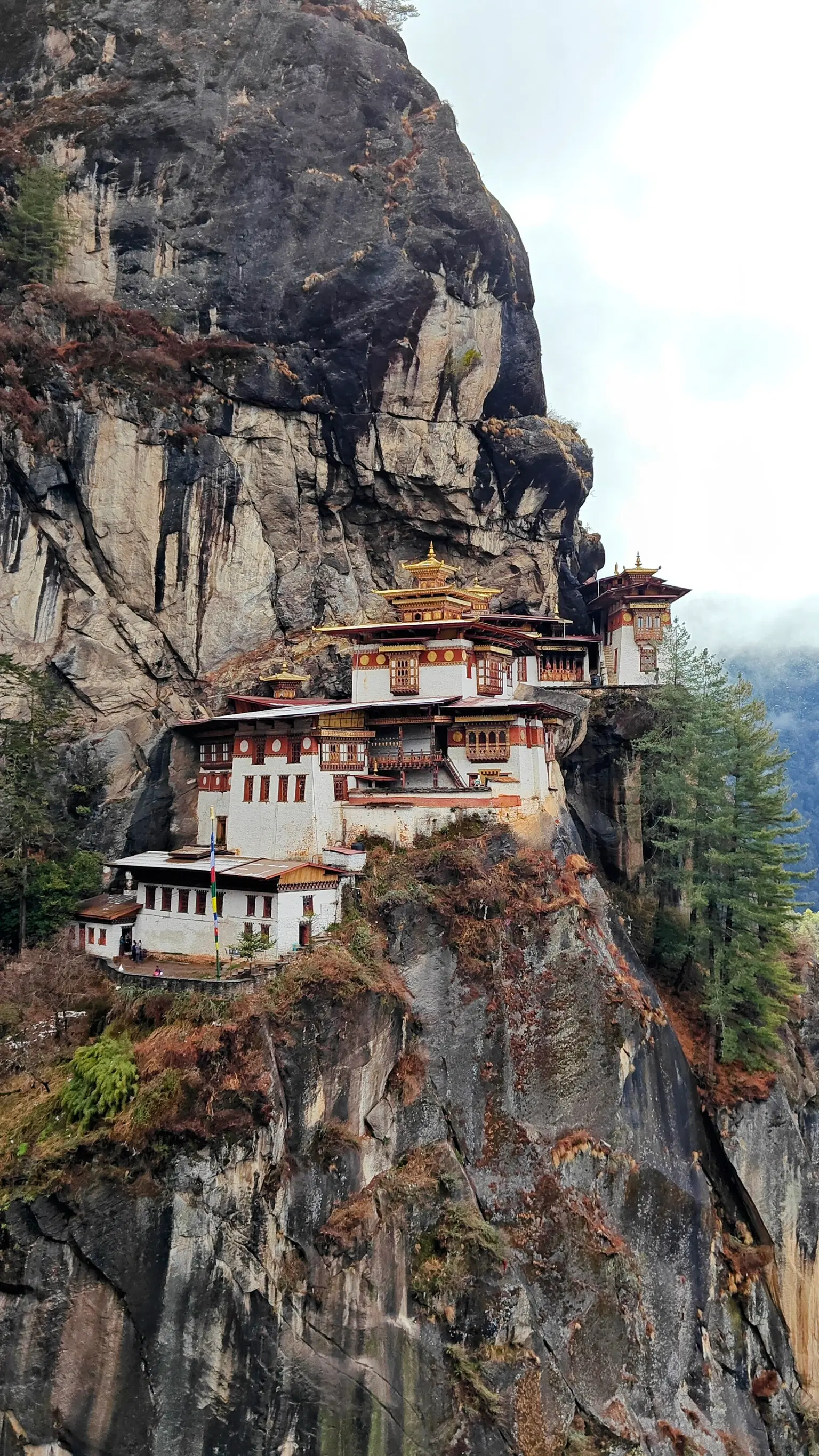 Photo from Shobha Ravishankar's trip