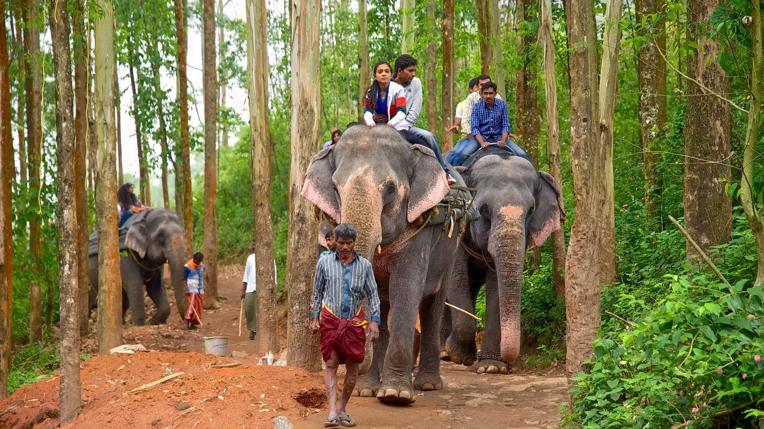 Carmelagiri Elephant Park