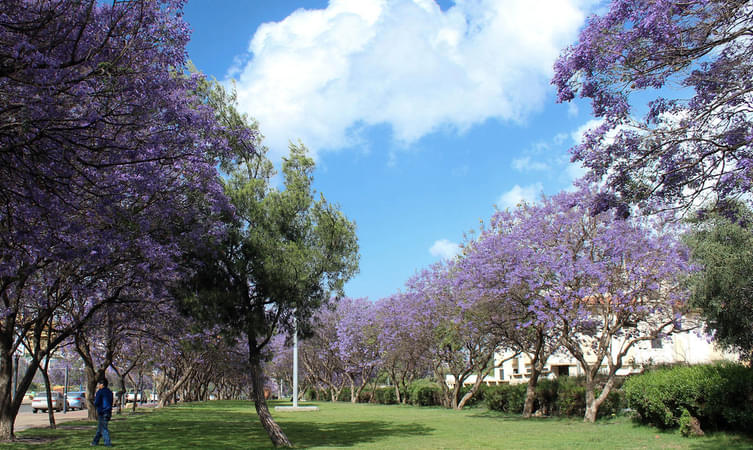 Abu Kheyal Park Abha