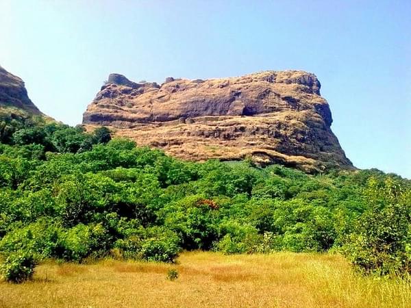 4w60x5oyvyfghlrzil9q8km5ia4x m ghangad to korigad trek cover