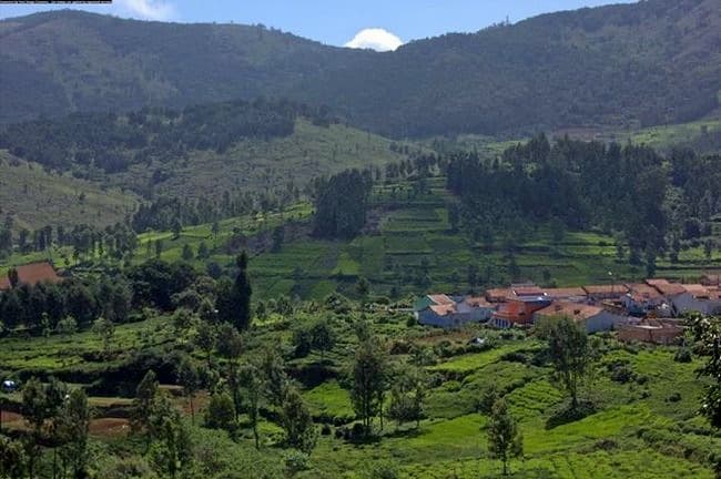 Ebbanad Trek In Ooty Image