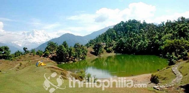 Rhododendron Trek Image