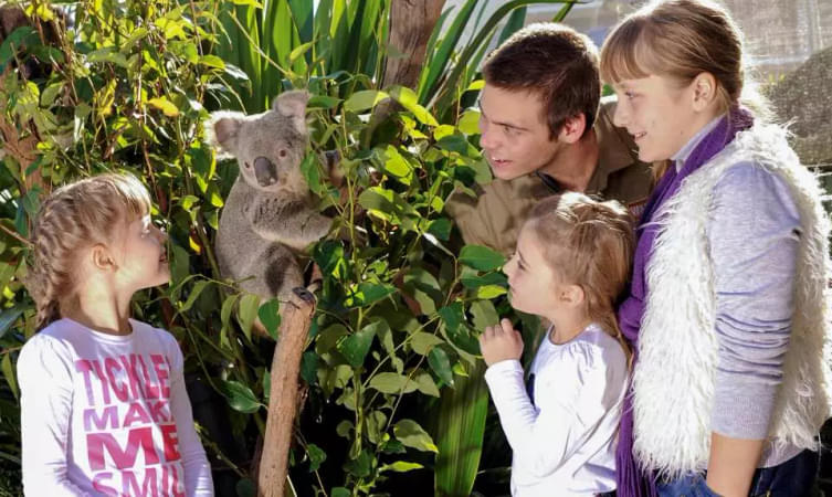 Visit WILD LIFE Zoo Sydney and explore unique Aussie animals with your loved ones