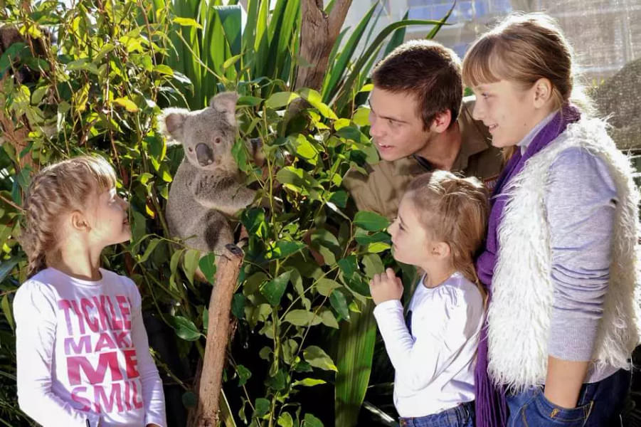 Visit WILD LIFE Zoo Sydney and explore unique Aussie animals with your loved ones