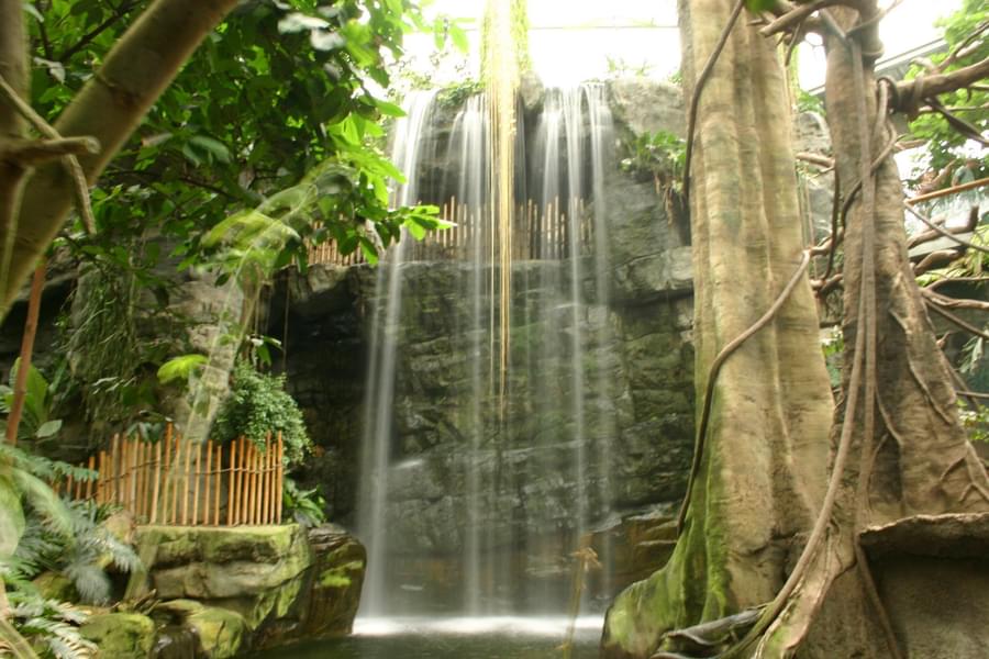 Waterfall in Henry Doorly Zoo