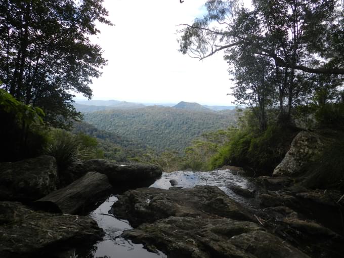 Springbrook National Park