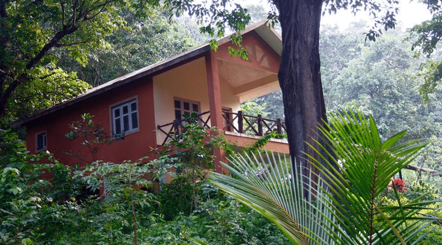 A Boutique Retreat in Lush Greenery of Dandeli Jungles Image