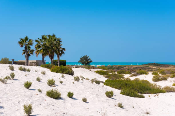 Saadiyat Public Beach 