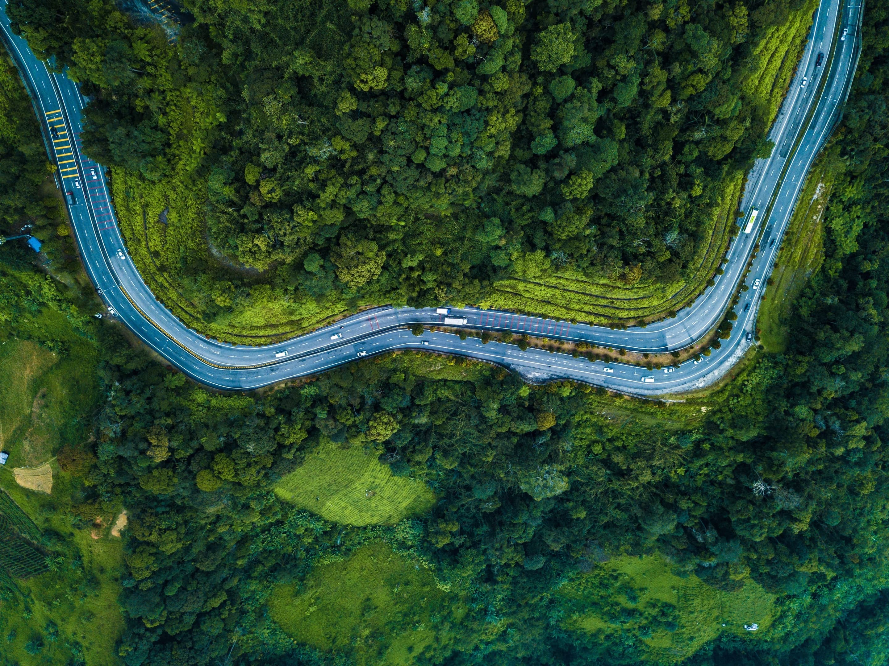 North East India Holiday Packages from Vijayawada