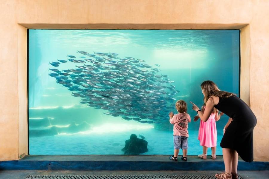 The Aquarium of Western Australia Tickets  Image