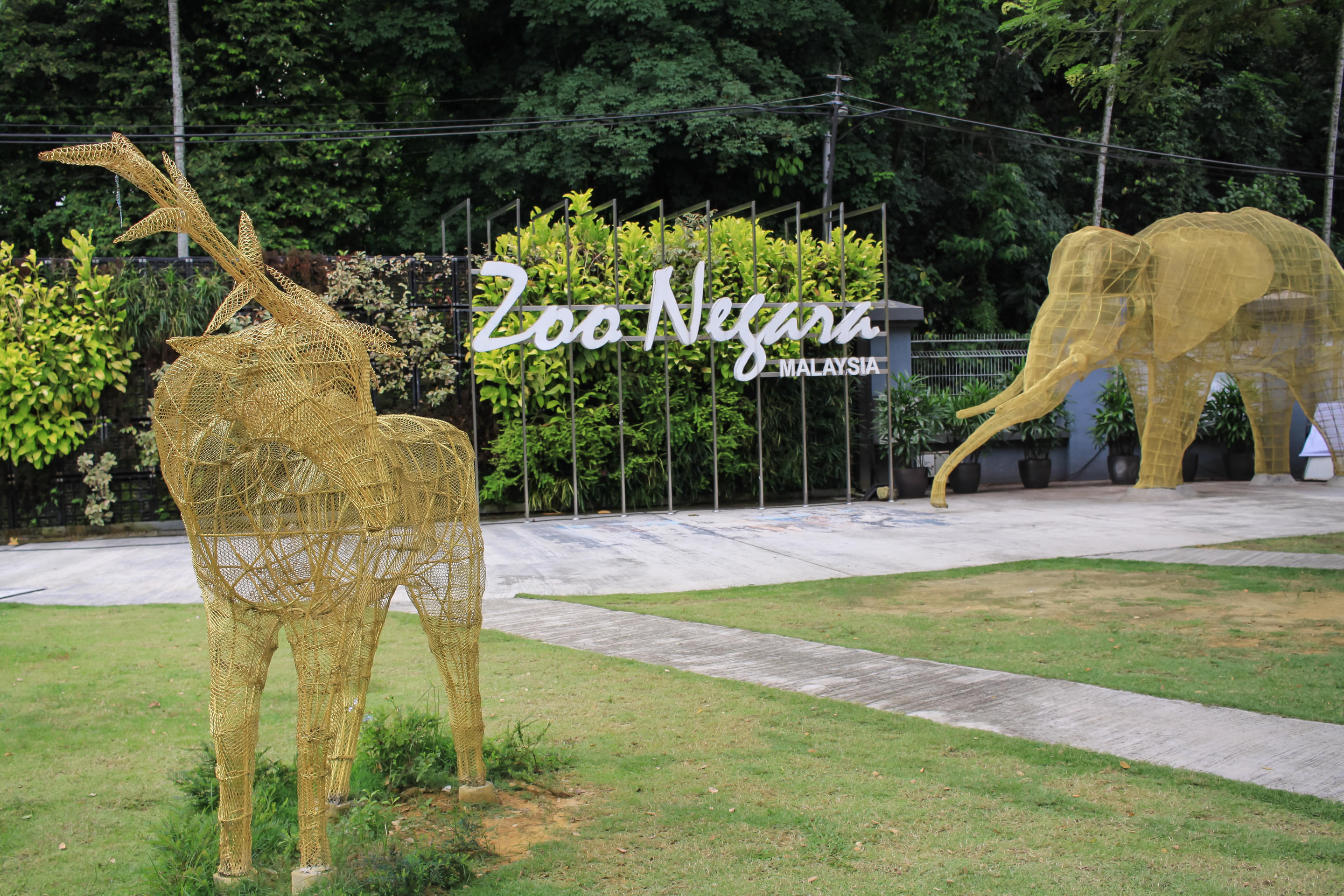 Zoo Negara Malaysia Overview