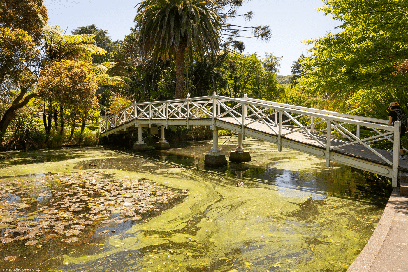 Queen's Garden Overview