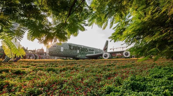 Airbus A380 In Miracle Garden Dubai