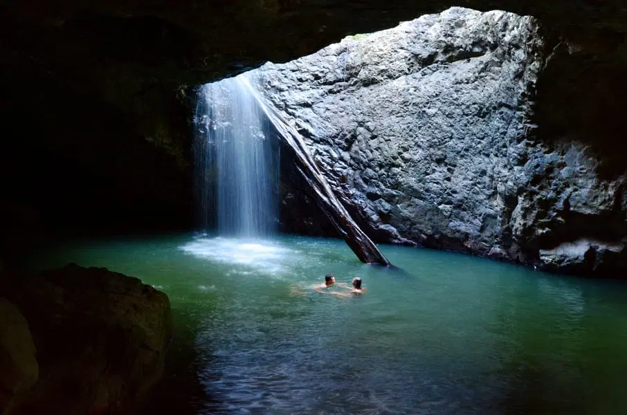 Glow Worm Caves