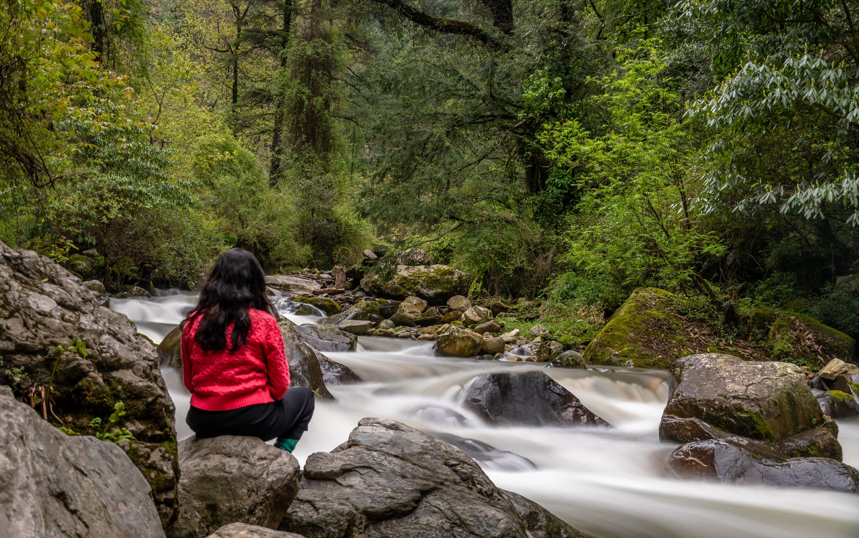 Himachal Pradesh Holiday Packages from Chandigarh