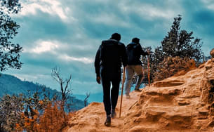 4zk28nbe5n0qns3ee1c0wr69b9d1 1587947602 1585831351 rohit arora cn e8gij8vo unsplash.jpg