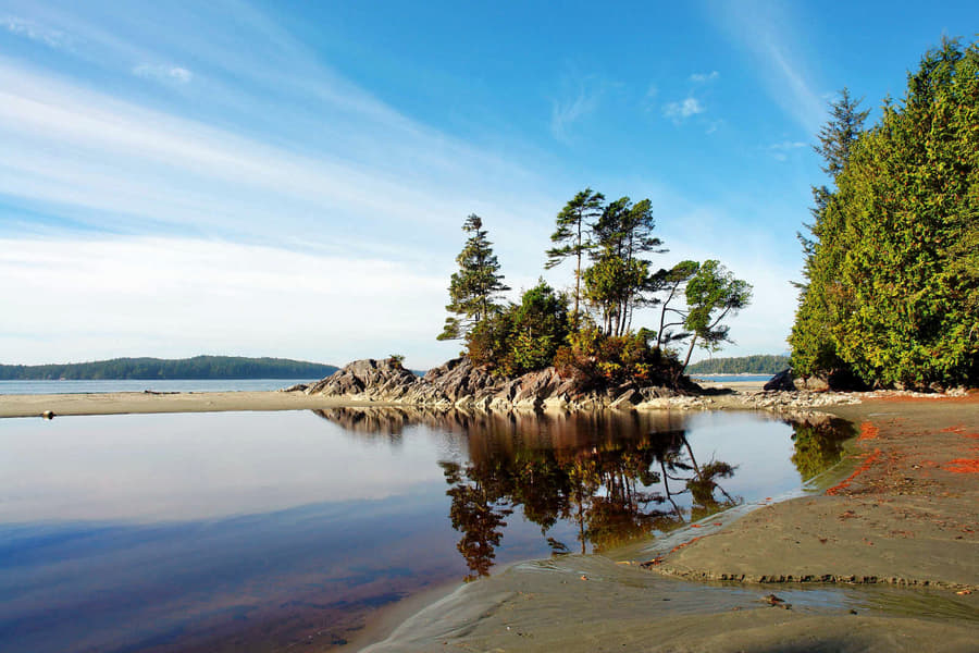 Whales & Bears of British Columbia Image