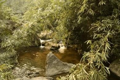 Enjoy a Dip in the Natural Pool