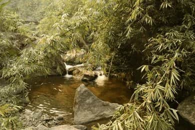 Enjoy a Dip in the Natural Pool